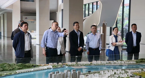 省人大常委会委员陈根芳调研Bevictor韦德集团