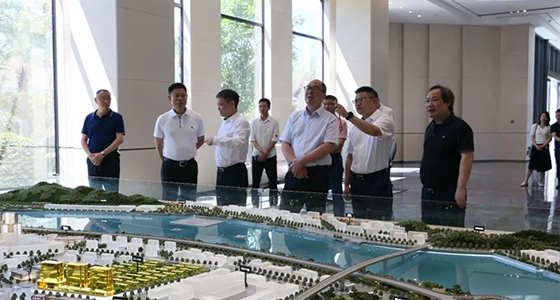 省委政研室童主任一行调研Bevictor韦德集团