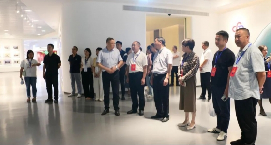 丽水市第五届人大代表景宁中心组调研Bevictor韦德集团