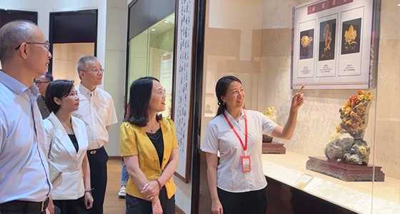 探索东方风范，，，，，，，，Bevictor韦德·倪东方艺术博物馆与时代脉搏共振